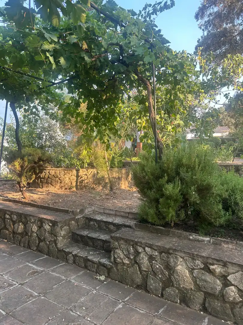 Garden of Country homes for sale in Ronda  with Air Conditioner, Private garden and Furnished