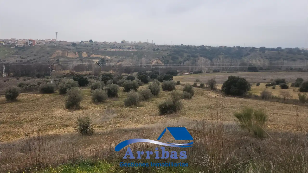 Country homes for sale in Escalona