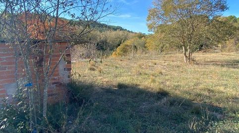 SE VENDE TERRENO DE HORTICULTURA EN SANT QUINTI DE MEDIONA, immagine 3