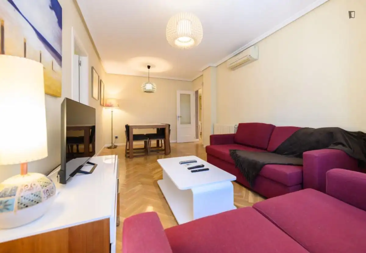 Living room of Apartments for rent in Madrid  with Air Conditioner, Heating and Furnished