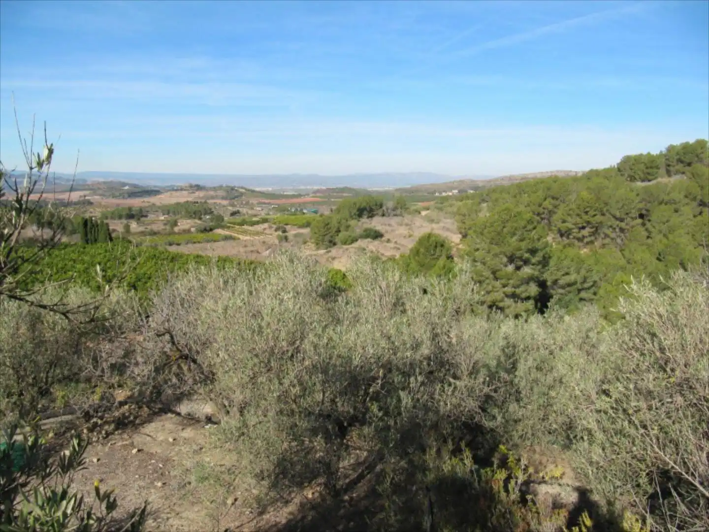 Residential for sale in Barxeta