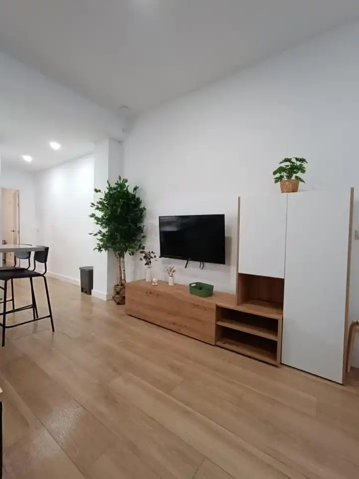 Sala d'estar de Pis de lloguer en Barrio de Salamanca
