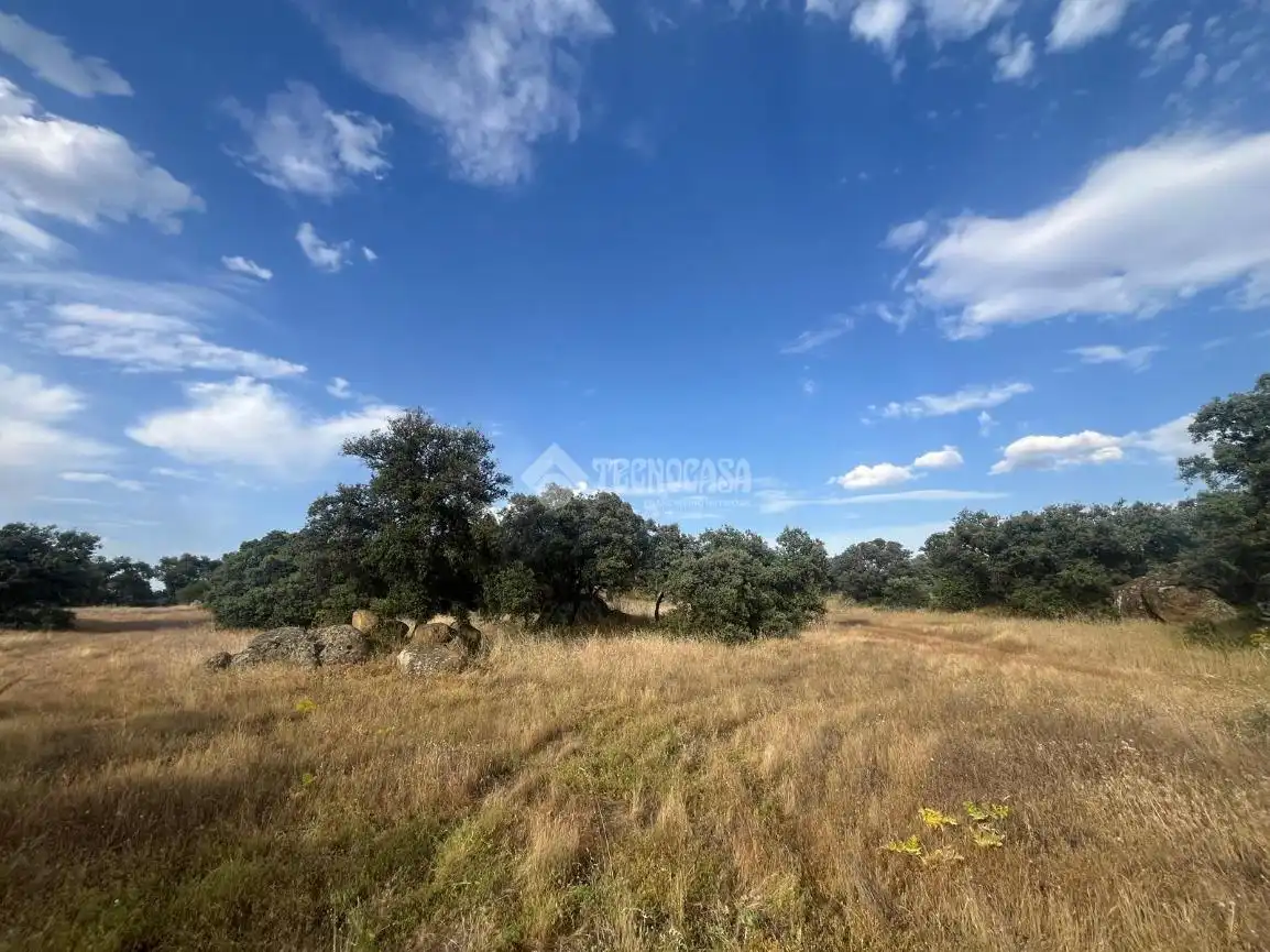 Terreno en venta en Santa Ana de Pusa