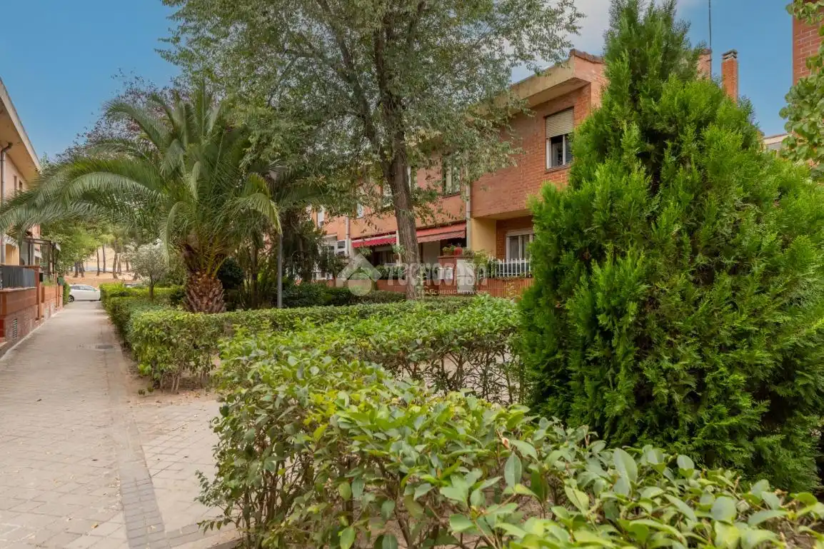 Vista exterior de Casa adosada en venta en Zona Carretera del Plantío