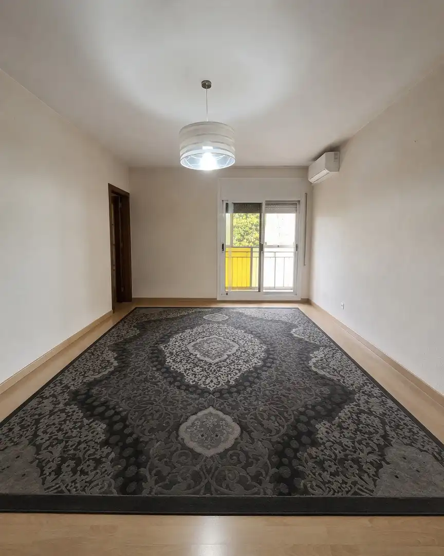Sala de estar de Ático en venta en Santa Coloma de Gramenet con Balcón