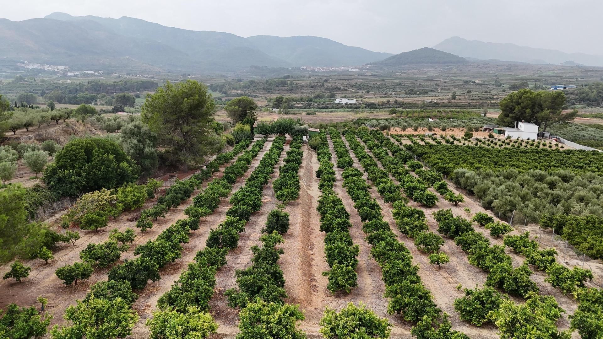 Casa o xalet en venda en Benicolet amb Jardí privat i Terrassa