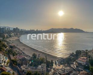 Vista exterior de Apartament de lloguer en Benidorm amb Aire condicionat i Piscina