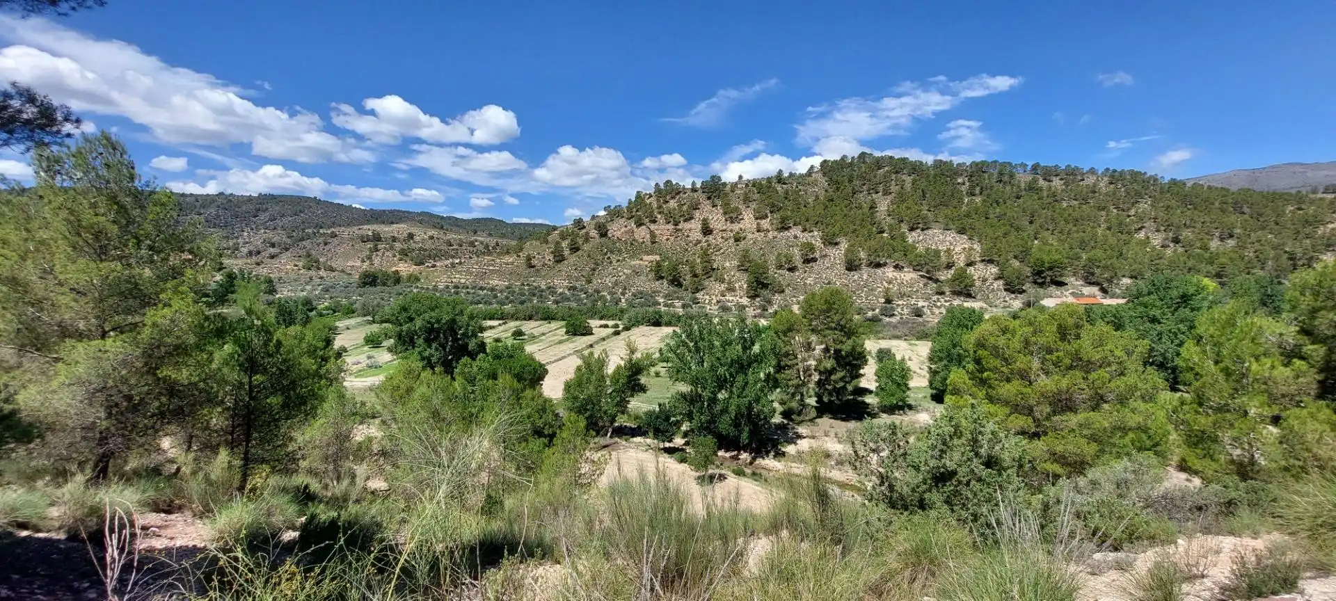 Finca rústica en venta en Nerpio con Jardín privado, Terraza y Amueblado