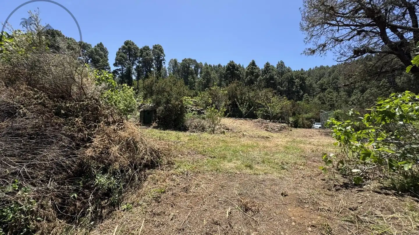 Lands and plots for sale in La Peña 1, imagen 12