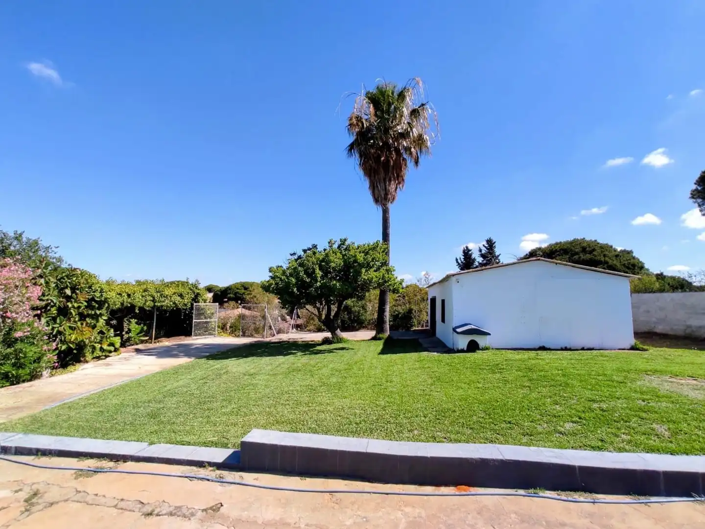 Garden of Country homes for sale in Chiclana de la Frontera  with Private garden, Storage room and Swimming Pool