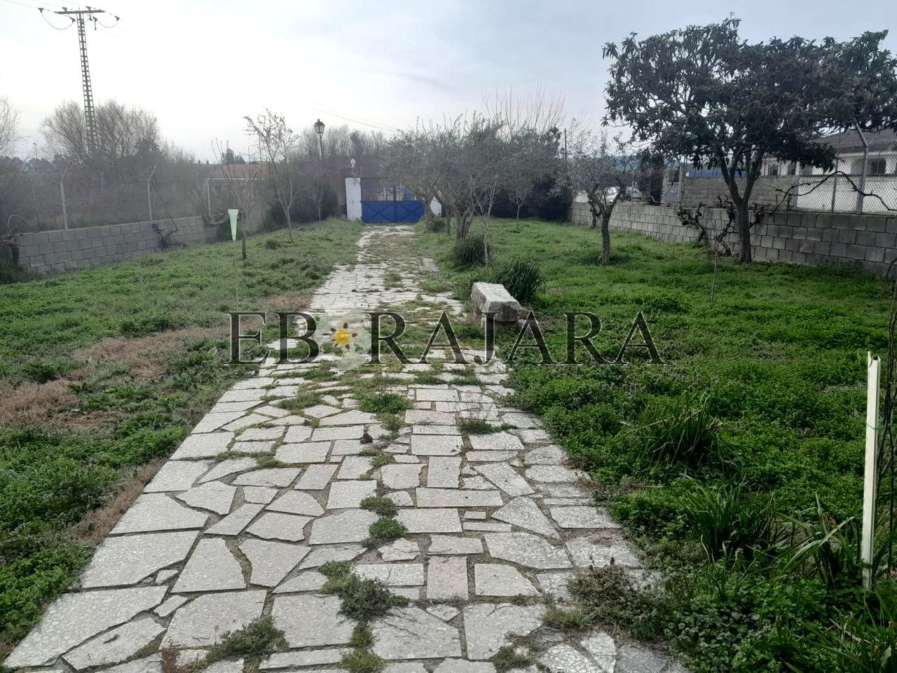 Casa o xalet en venda en Pepino