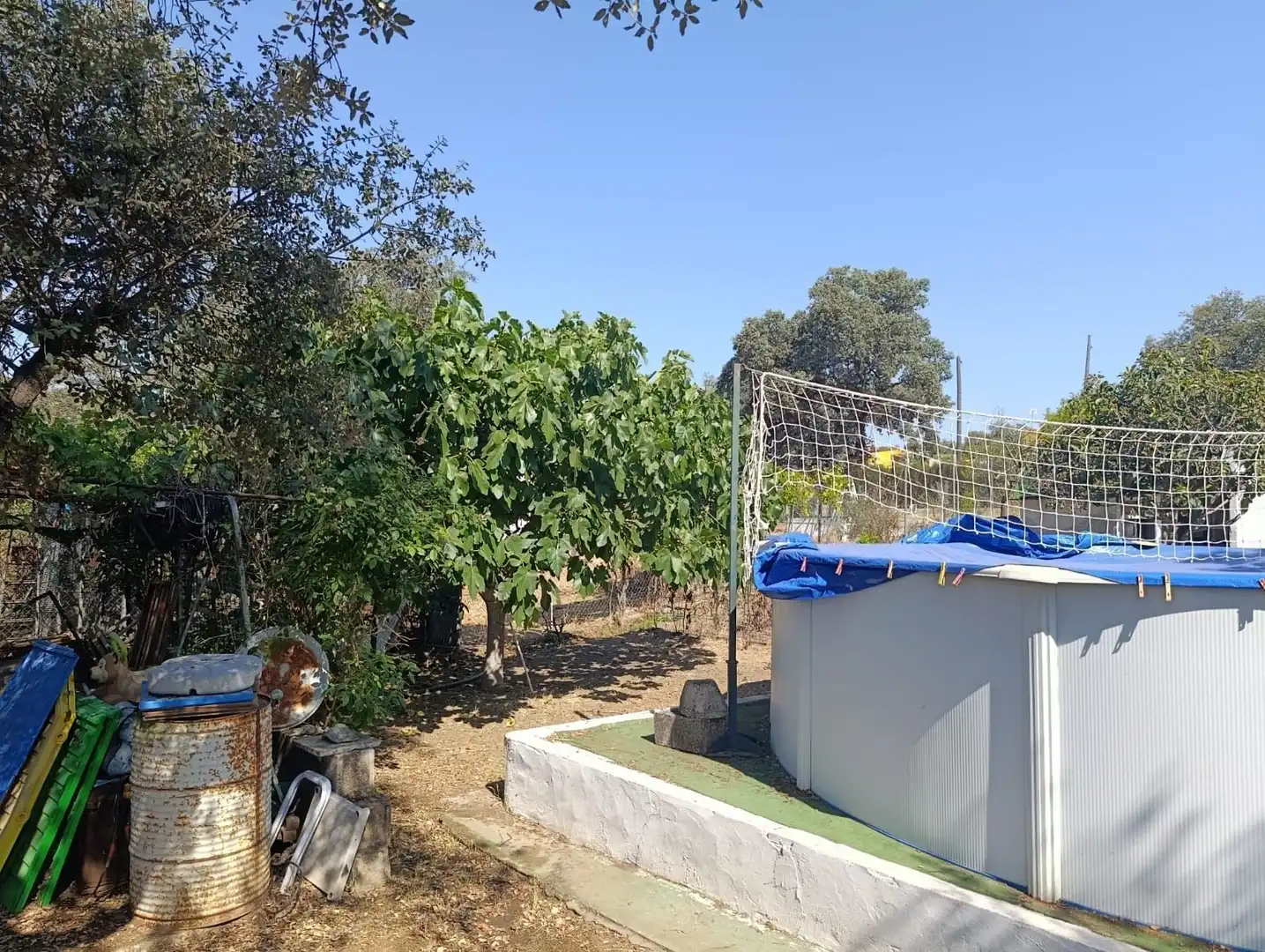 Jardín de Casa o chalet en venta en Castilblanco de los Arroyos