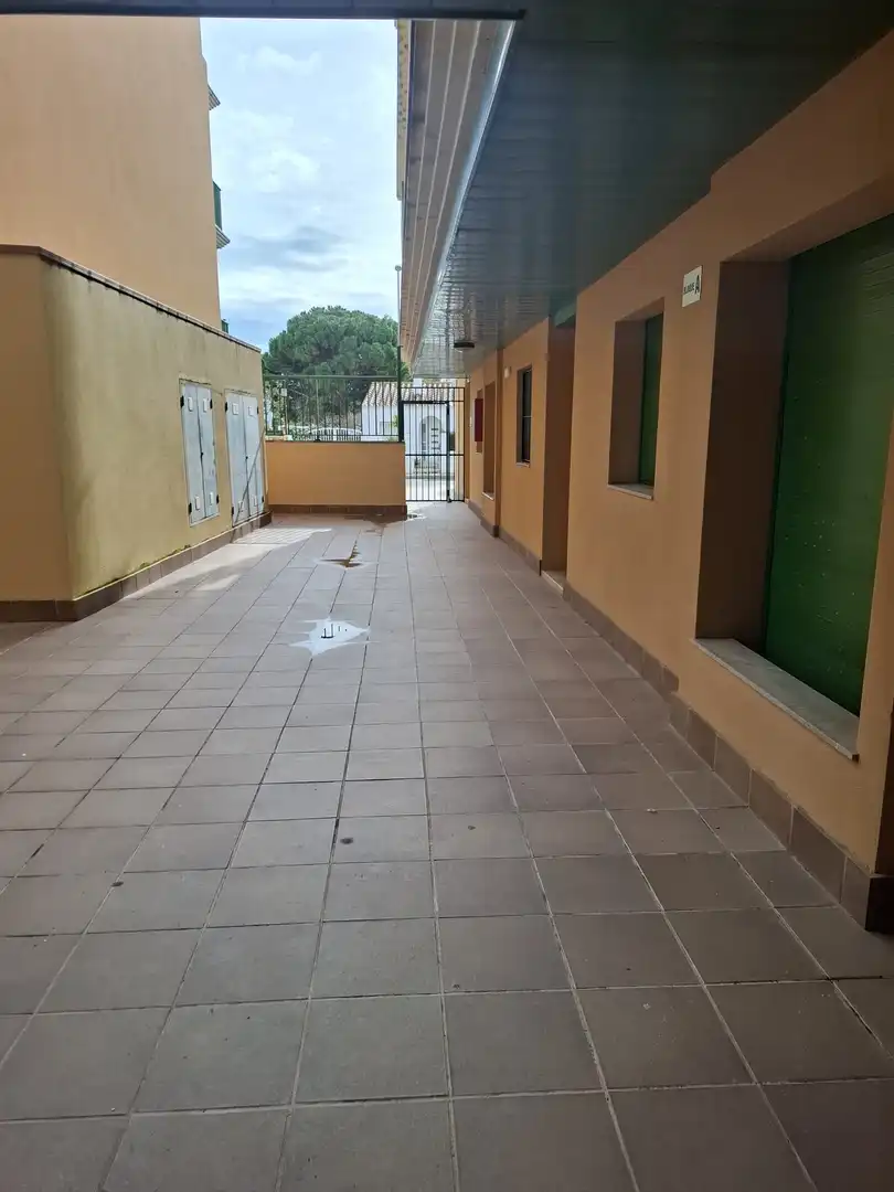 Apartment mit Garten zum Verkauf in Eucaliptus- Poble Nou del Delta, imagen 5