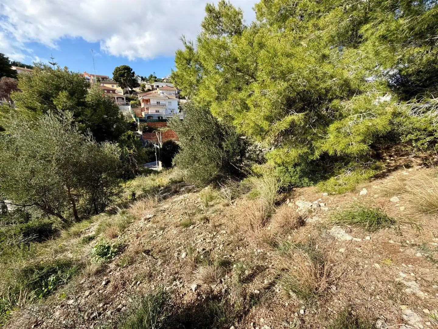 Terreno rustico in vendita a Torre Dels Escipions 106, imagen 6