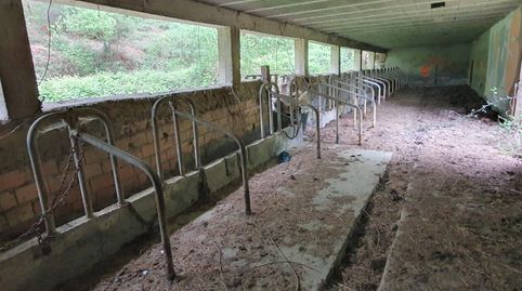 14 Hectáreas de terreno rural con cuadrapajar de 300 m2. Junto a la carretera, immagine 3