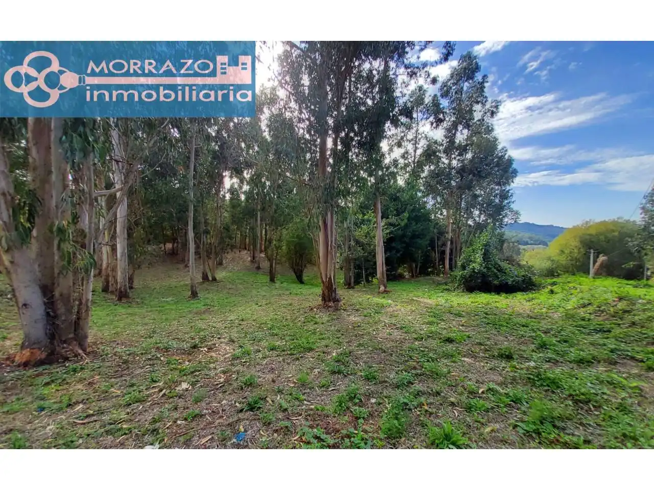 Terreno rustico in vendita a Bueu, imagen 26