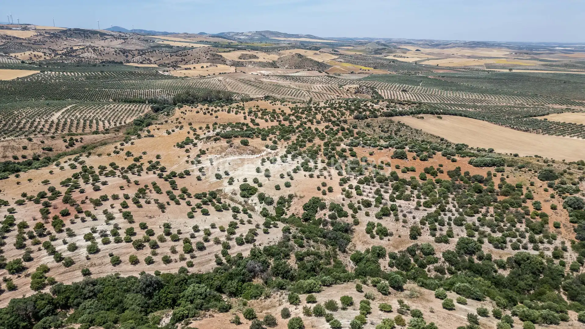Casa o xalet en venda en Osuna amb Calefacció, Jardí privat i Terrassa