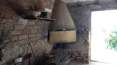 FINCA RUSTICA EN GINESTAR A ORILLAS DEL RIO EBRO, immagine 2