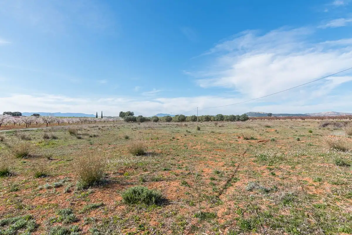 Casa rústica amb jardí en venda a ARDAL. MULA (Murcia), imagen 31