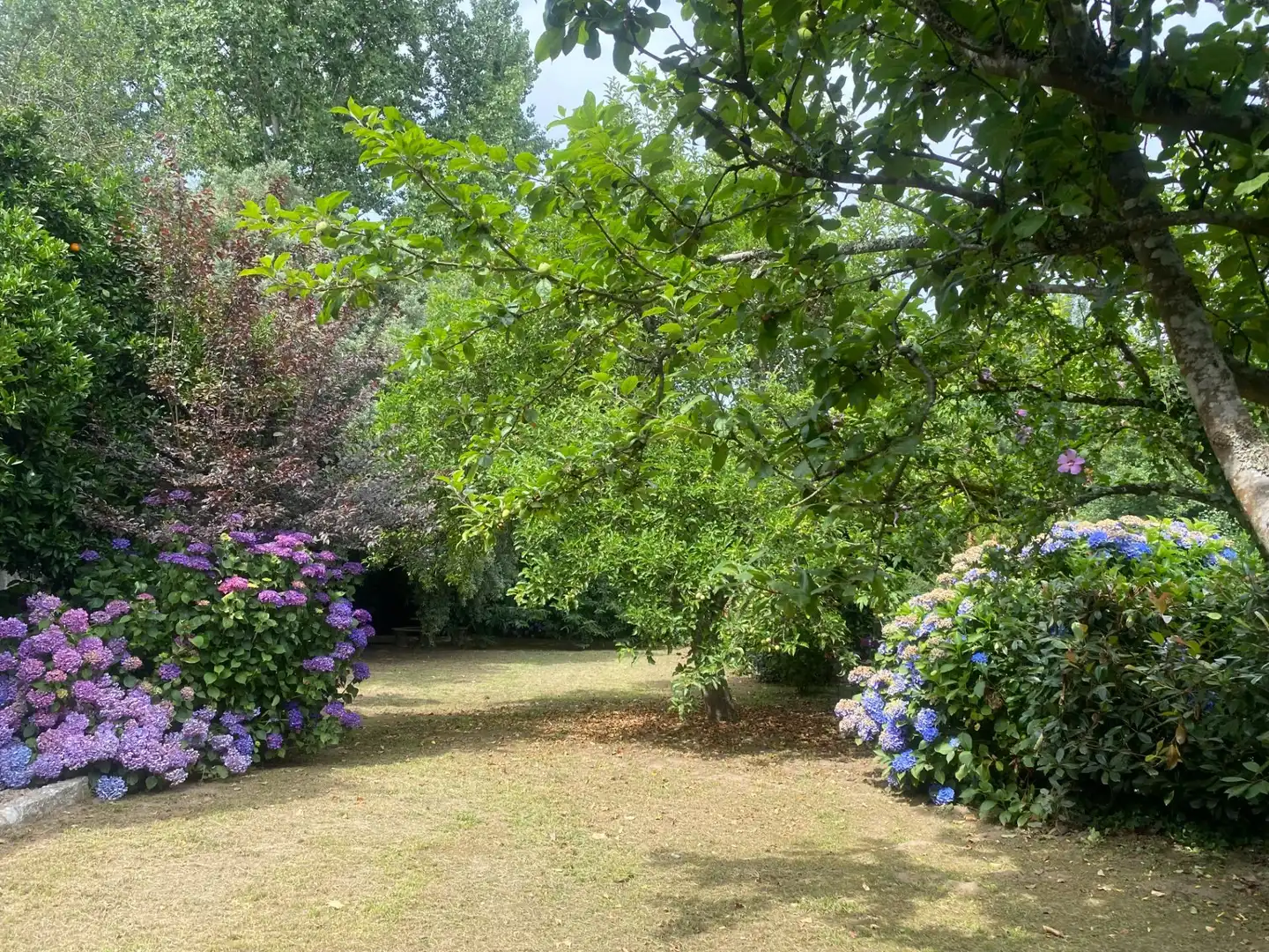 Jardín de Casa o chalet en venta en Portas con Jardín privado, Terraza y Trastero
