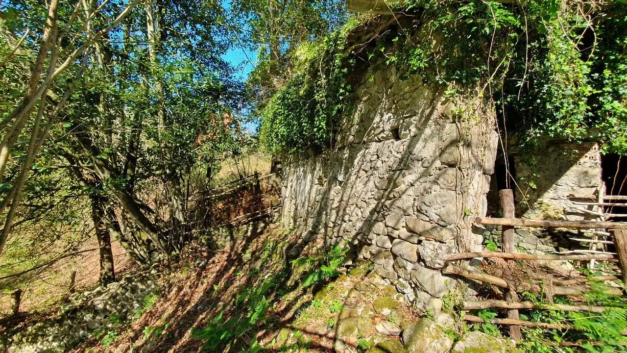 Vista exterior de Finca rústica en venta en Llanes
