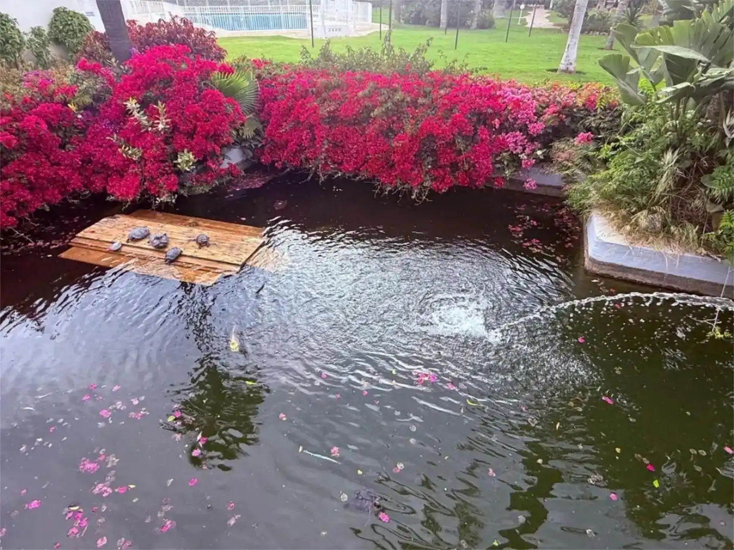 Swimming pool of Attic for rent in Torremolinos  with Air Conditioner, Private garden and Terrace