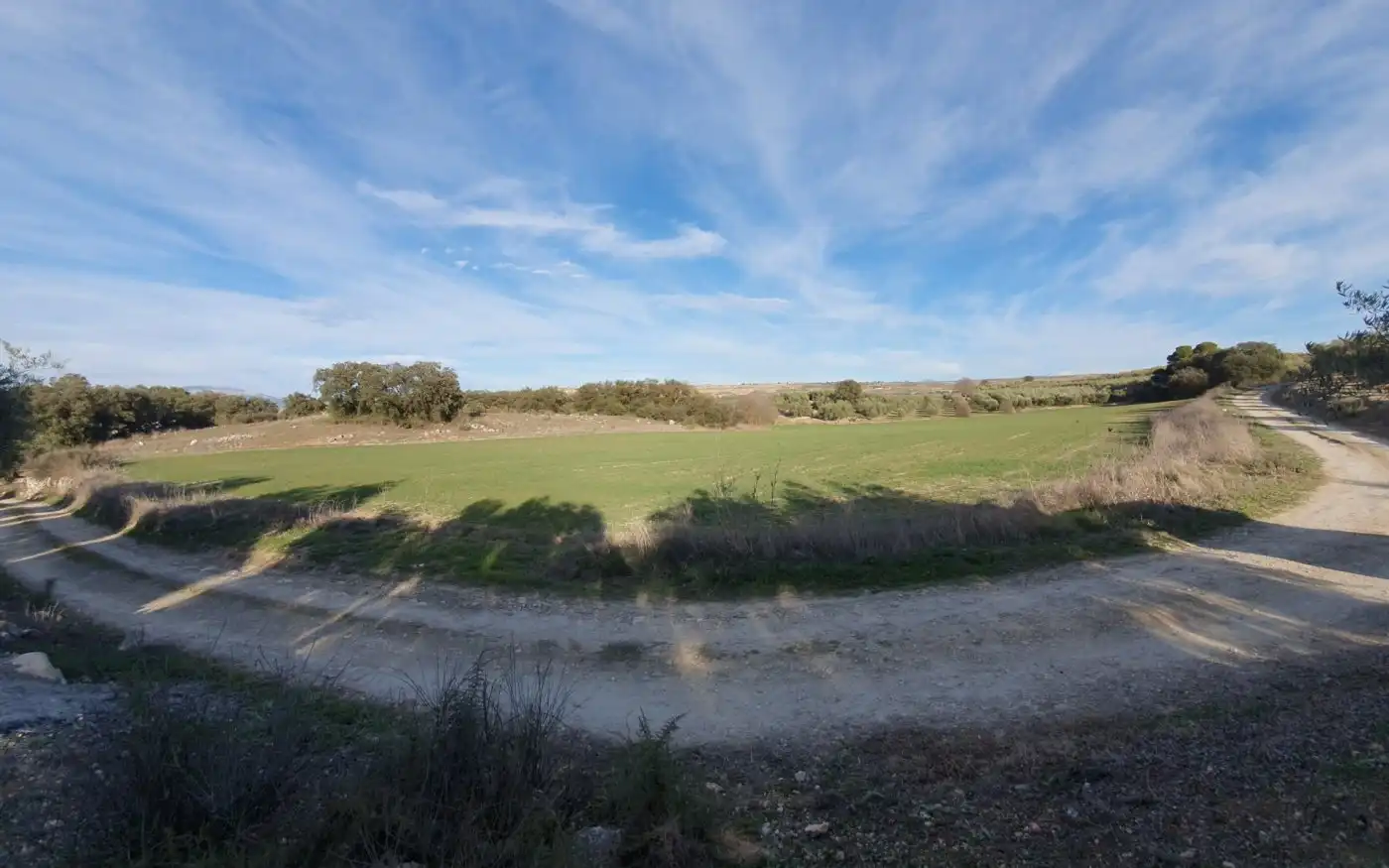 Finca rústica en venta en Moraleda de Zafayona