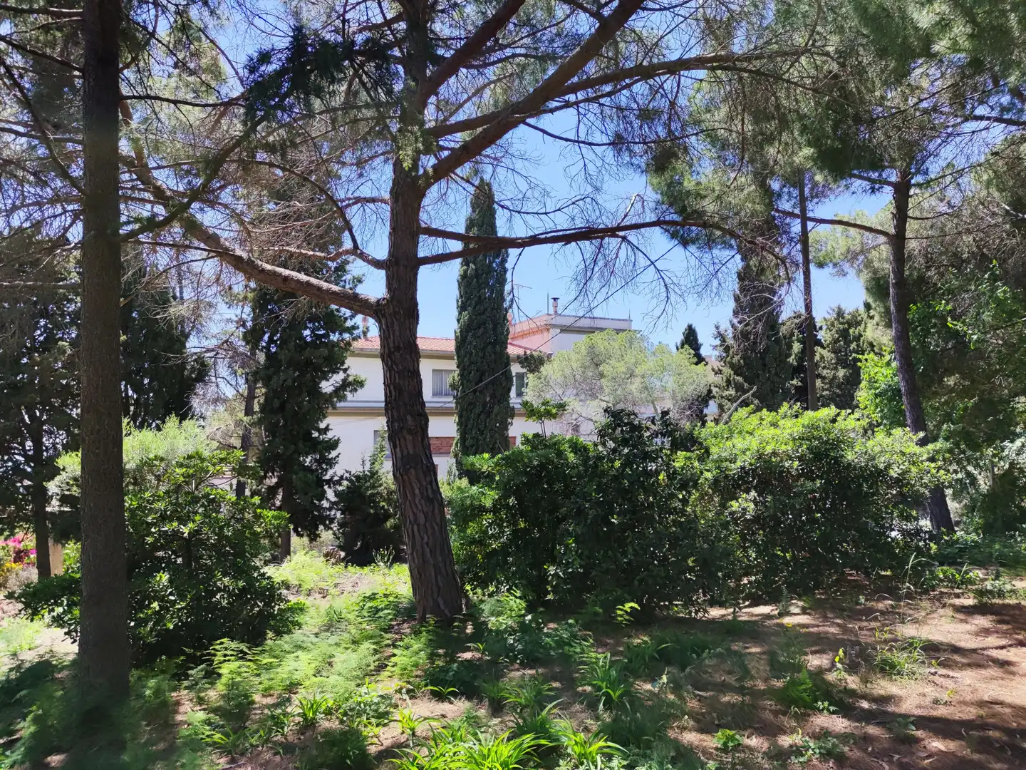 Jardí de Residencial en venda en Mataró