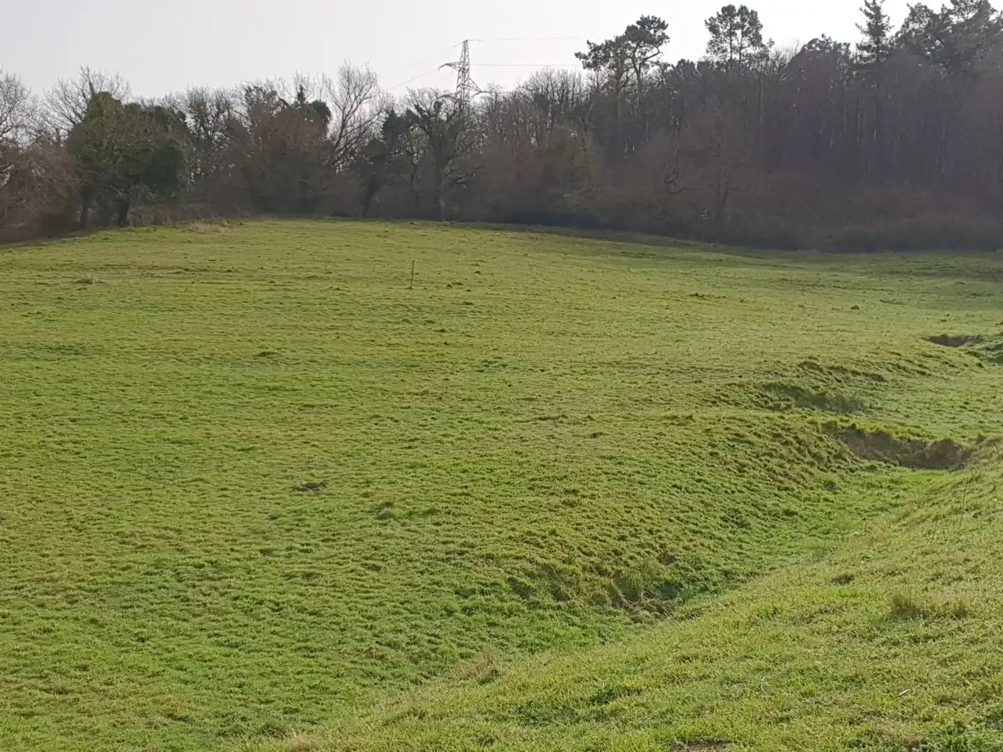 Maison rustique à vendre à Grado, imagen 14