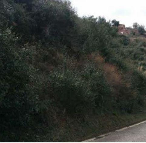 Foto 2 von Residential zum Verkauf in Can Vinyals, Esparreguera