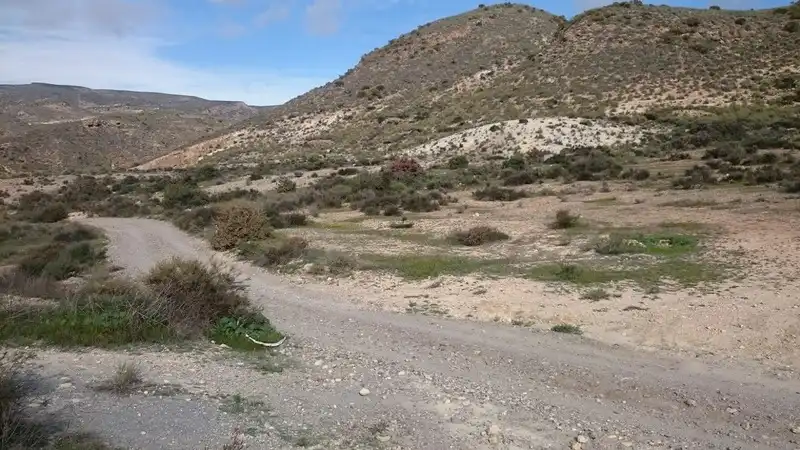 Terreny residencial en venda a Paraje Collado Del Almendro Barriada Polopos, imagen 2