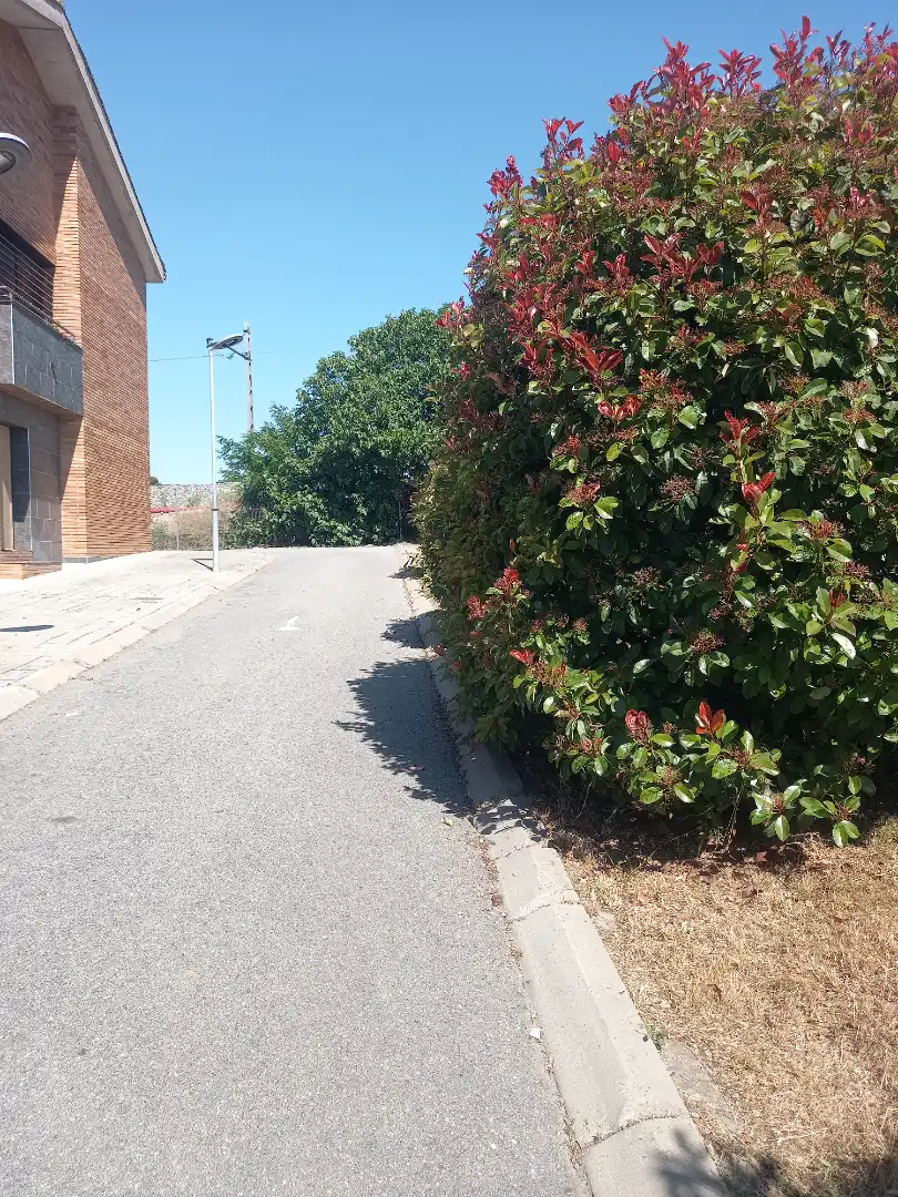 Casa con jardín en venta en Montmeló, imagen 4