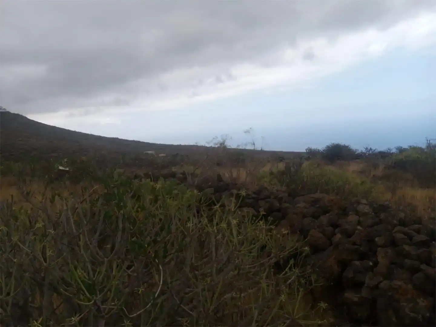 Finca rústica en venda en Guía de Isora interior