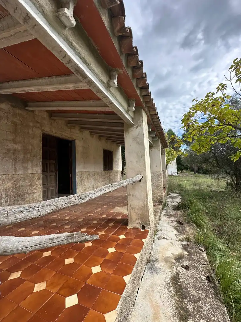 Vista exterior de Finca rústica en venta en Enguera