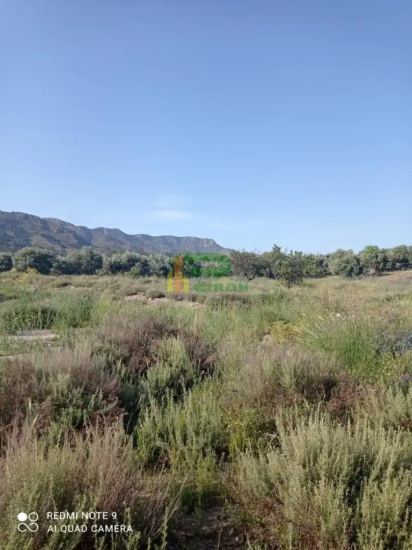 Lands and plots for sale in El saltador, imagen 3