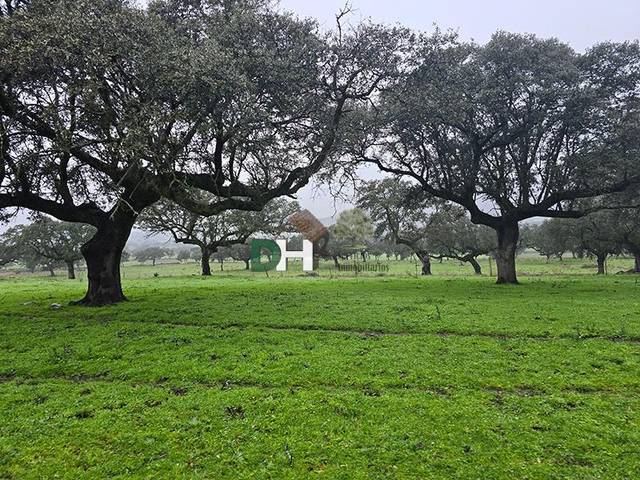 Terreno residencial en Venta en Campus Universitario