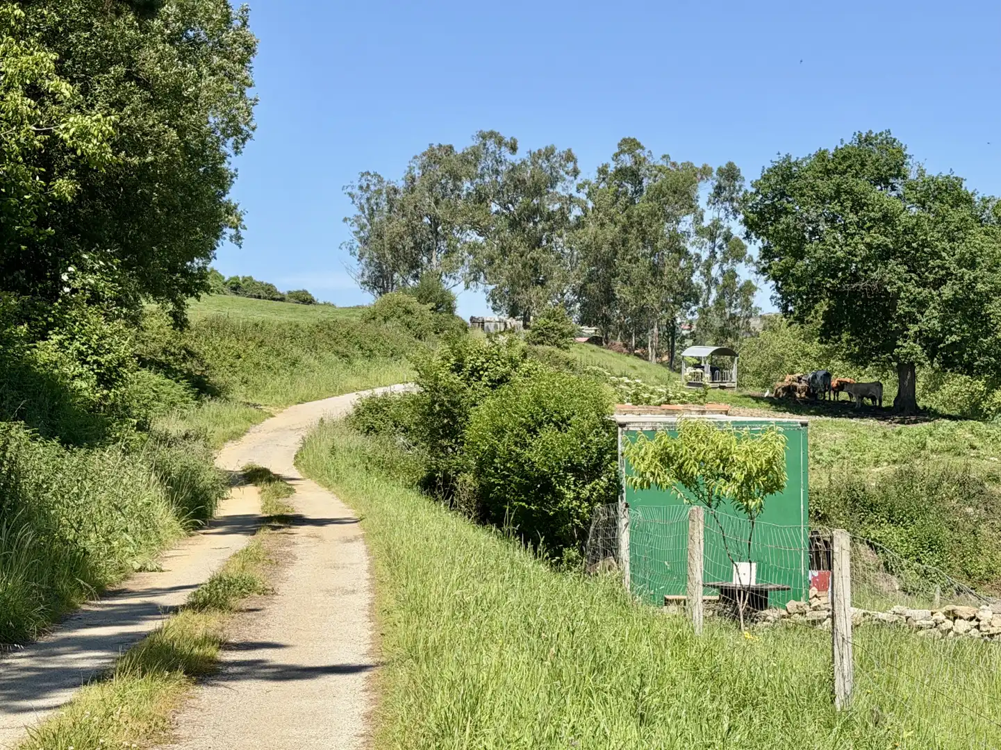 Casa amb jardí en venda a Queveda - BO QUEVEDA-MERMON 10, imagen 51