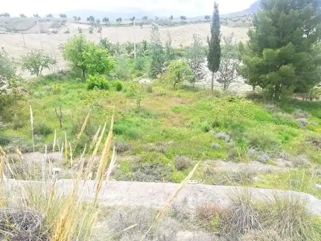 Casa o xalet en venda en Benamaurel amb Jardí privat