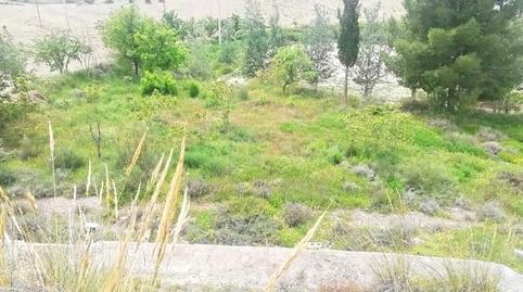 Photo 5 of House or chalet for sale in Barriada Cuevas de Luna, Benamaurel, Granada