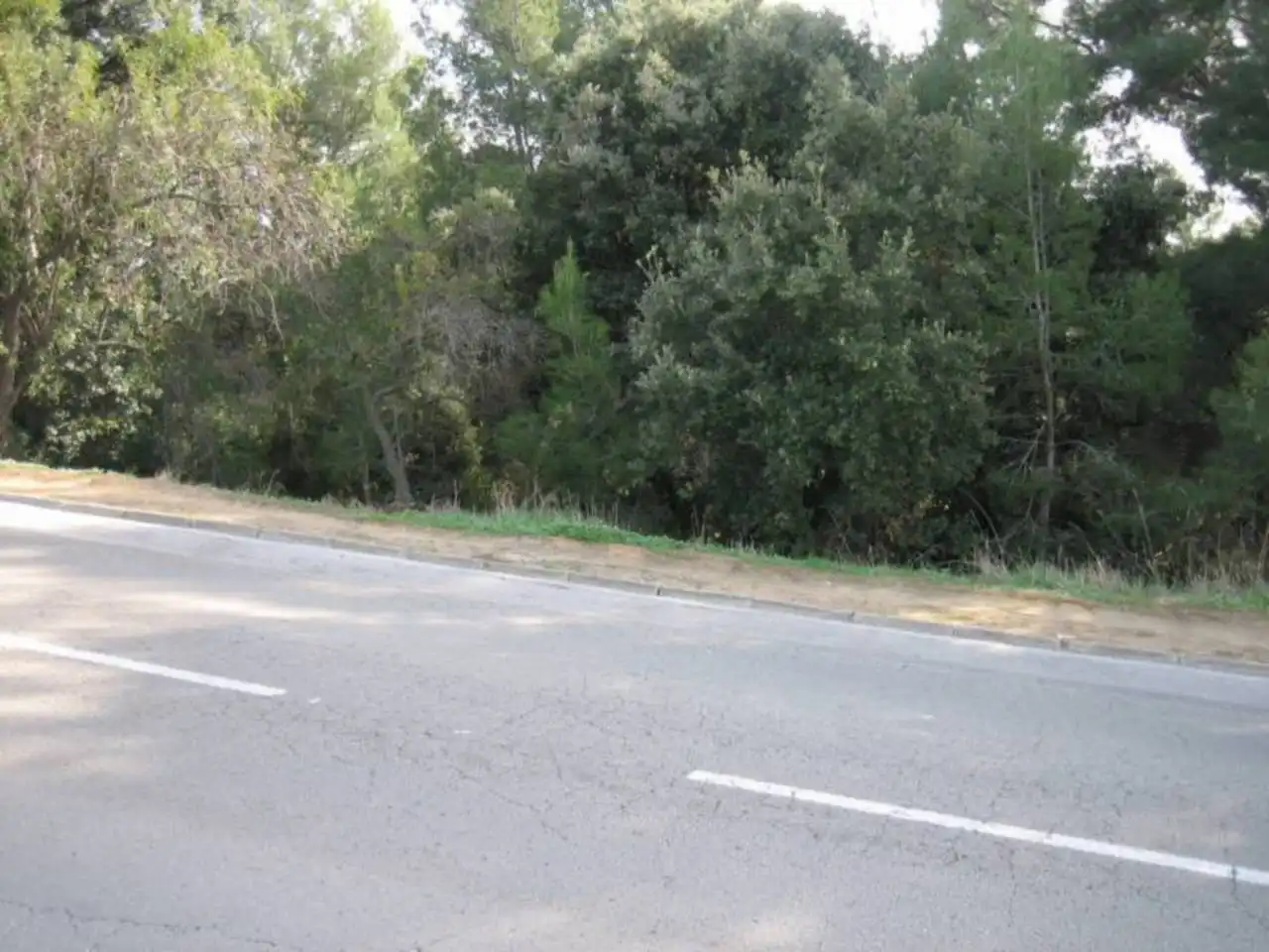 Rural land for sale in Avenida MONTBUI 50, imagen 8