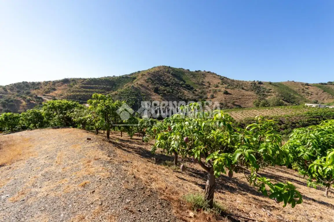 Terreny rústic en venda a Vélez-Málaga ciudad, imagen 27
