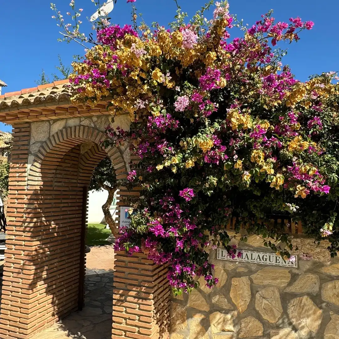 Finca rústica en venda a PULGARIN, 1, Alfarnatejo