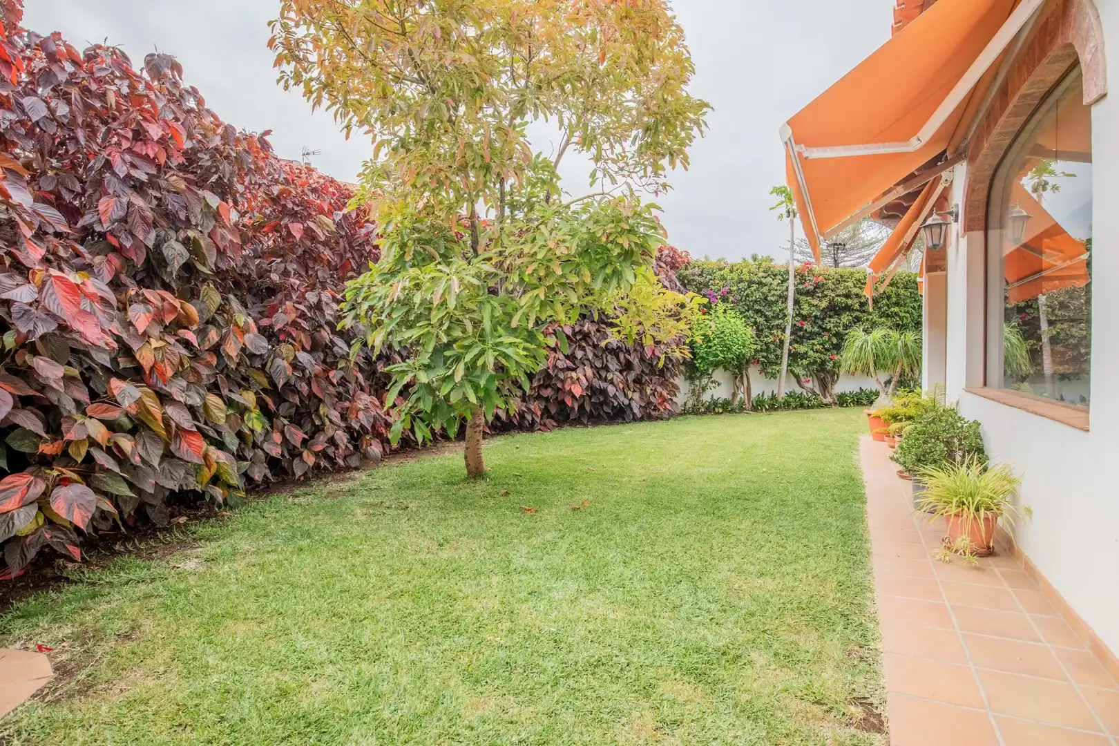 Garden of Houses for sale in Puerto de la Cruz  with Terrace and Furnished