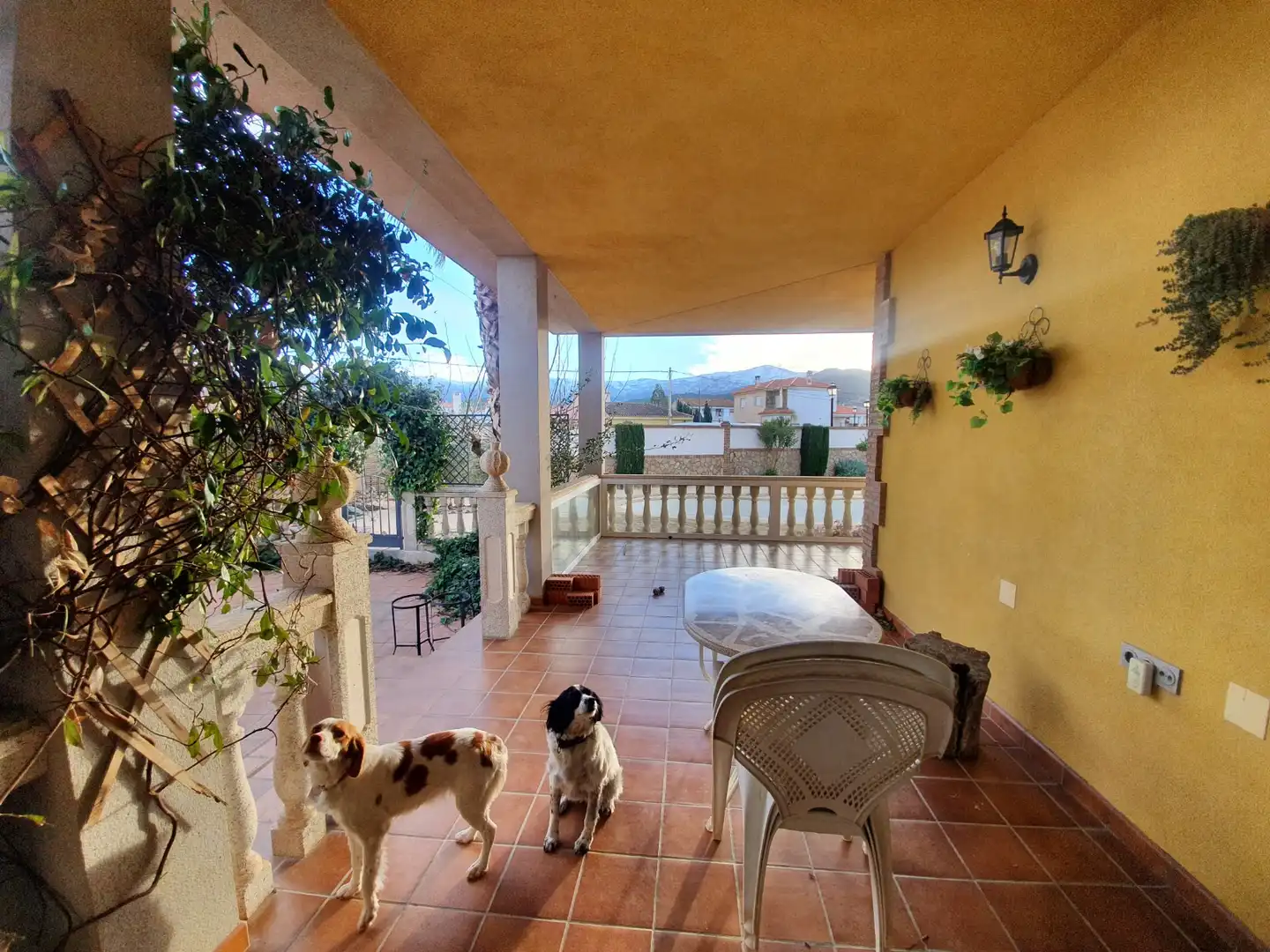Vista exterior de Casa o chalet en venta en Cogollos de Guadix con Aire acondicionado, Jardín privado y Terraza