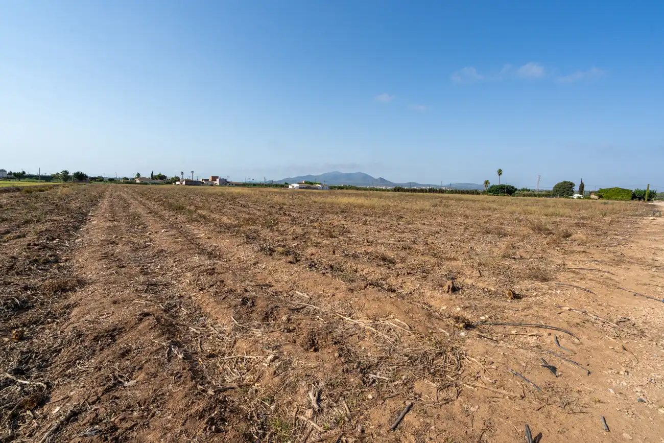 Finca rústica en venda en L'Aldea amb Jardí privat, Terrassa i Moblat