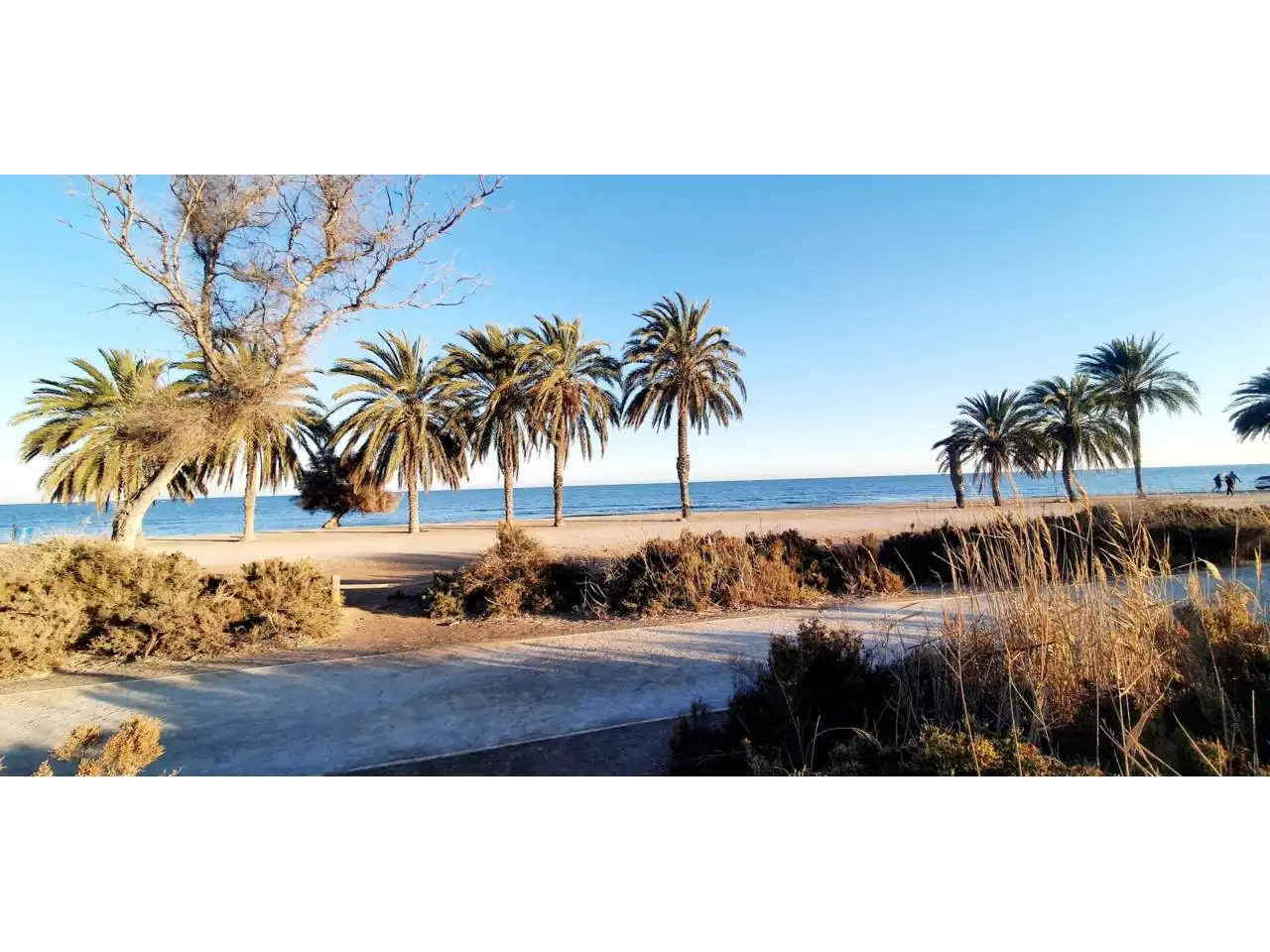 Exterior view of Houses for sale in Roquetas de Mar  with Air Conditioner, Heating and Private garden