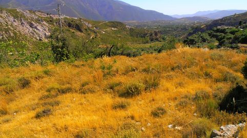 Finca Rúst. en venta en Polígonos., imatge 5