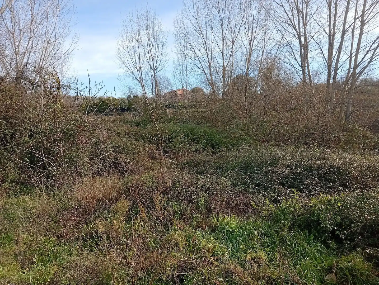 Terreni e lotti in vendita a Valverde de la Vera, imagen 19