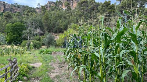 Foto 4 de Casa o xalet en venda a Palomera., Los Tiradores, Cuenca