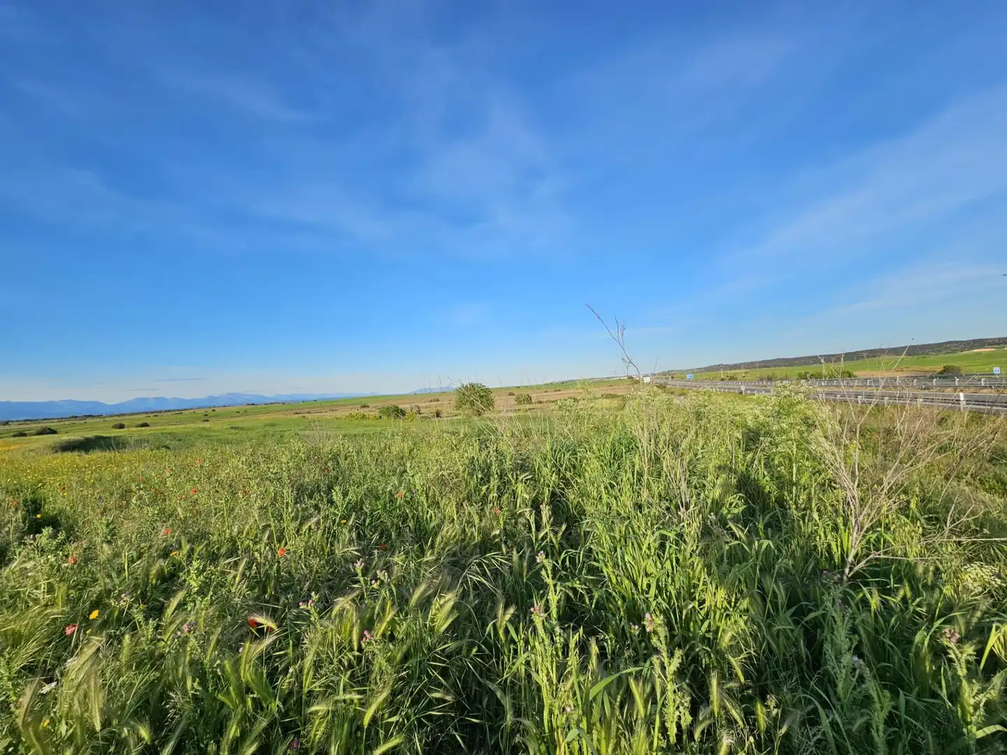 Terreno rustico in vendita a Calzada de Oropesa 1, imagen 3